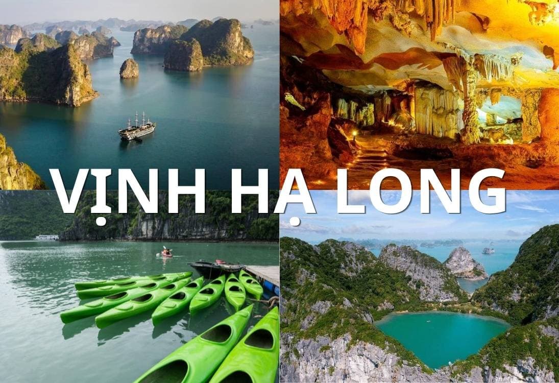 Hạ Long