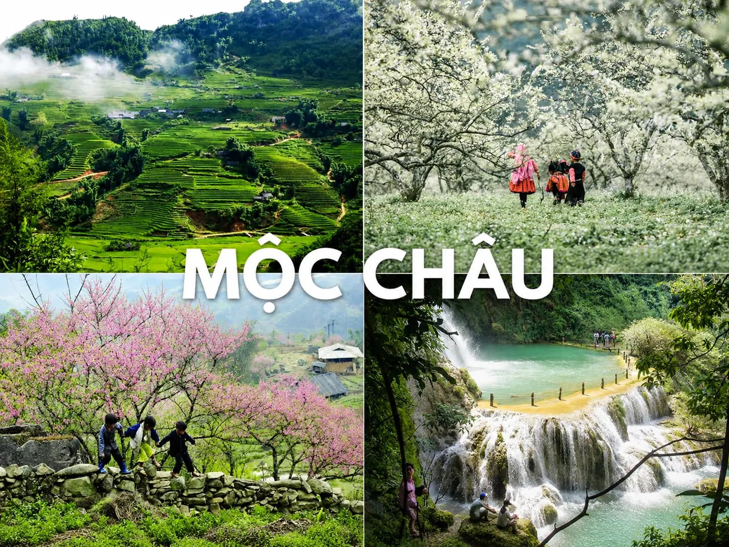 Mộc Châu