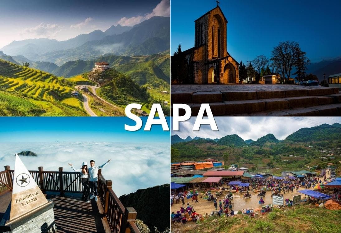 Sapa