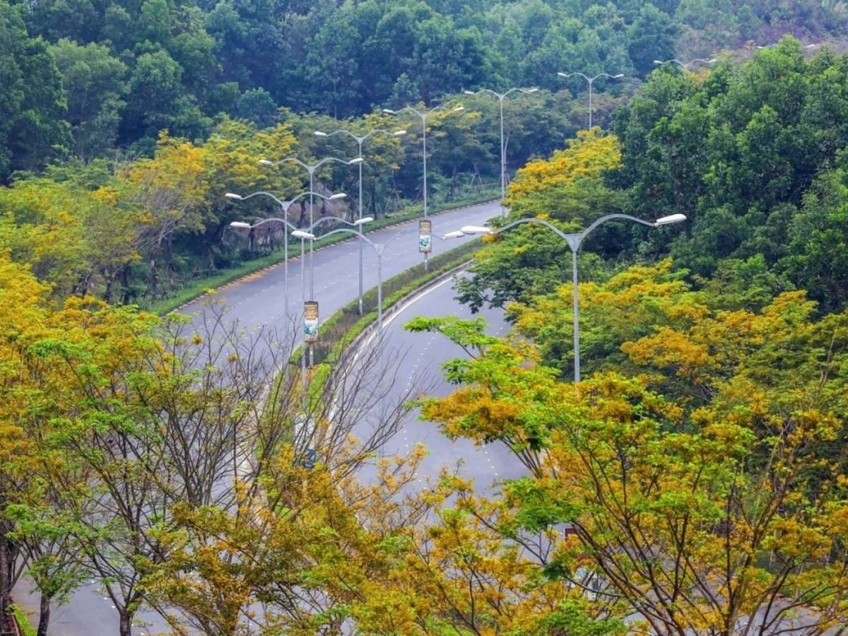 Đường lên Bà Nà Hills nhiều sương mù và núi rừng Đà Nẵng