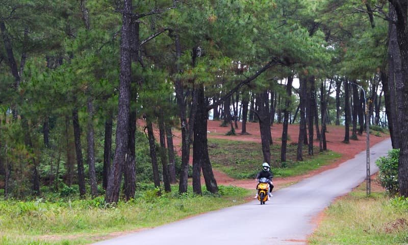 Hình ảnh Đồi Thiên An tại Huế